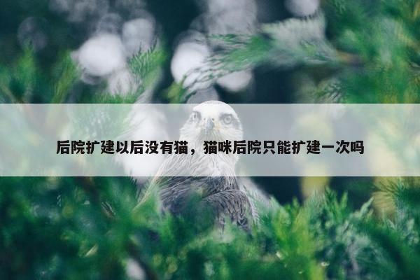 后院扩建以后没有猫，猫咪后院只能扩建一次吗
