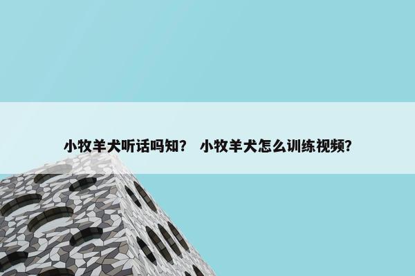 小牧羊犬听话吗知？ 小牧羊犬怎么训练视频？
