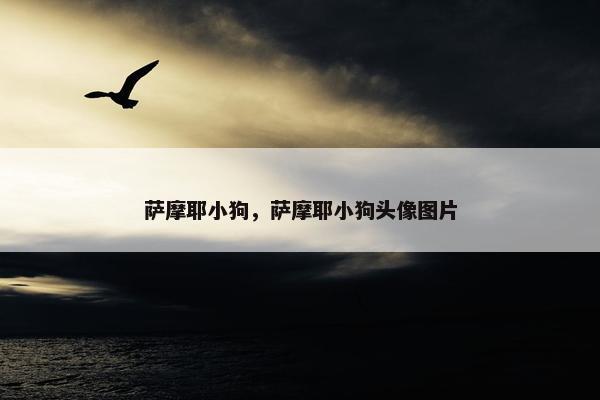 萨摩耶小狗，萨摩耶小狗头像图片