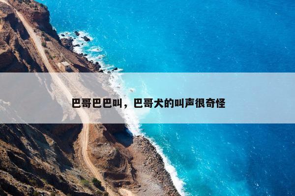 巴哥巴巴叫，巴哥犬的叫声很奇怪