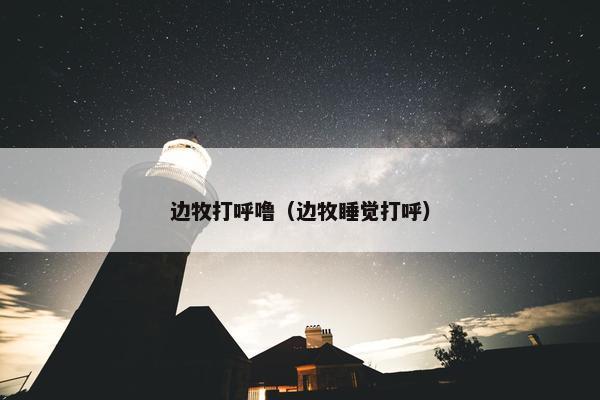 边牧打呼噜(边牧睡觉打呼)