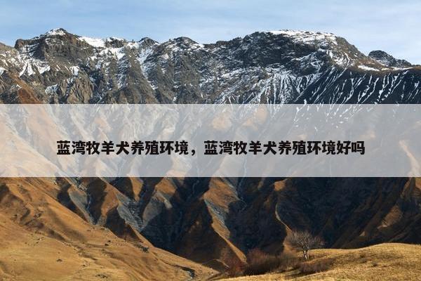 蓝湾牧羊犬养殖环境,蓝湾牧羊犬养殖环境好吗