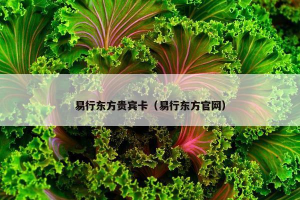 易行