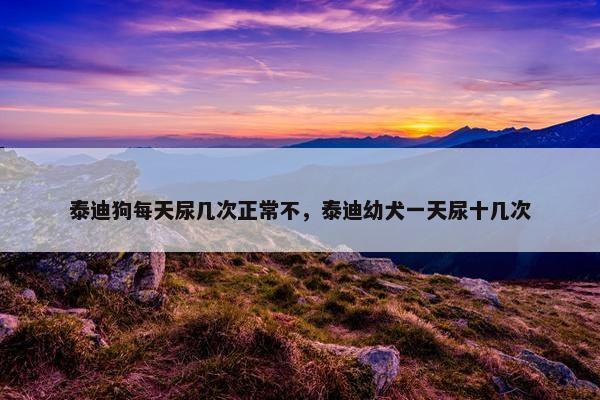 泰迪狗每天尿几次正常不，泰迪幼犬一天尿十几次