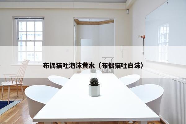 布偶猫吐泡沫黄水（布偶猫吐白沫）