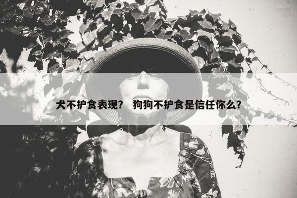 犬不护食表现？ 狗狗不护食是信任你么？