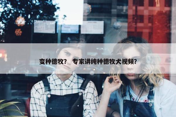 变种德牧? 专家讲纯种德牧犬视频?