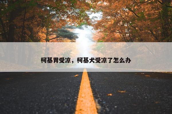 柯基胃受凉,柯基犬受凉了怎么办
