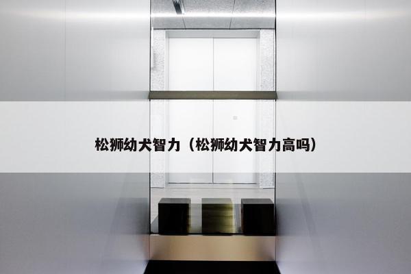 松狮幼犬智力（松狮幼犬智力高吗）