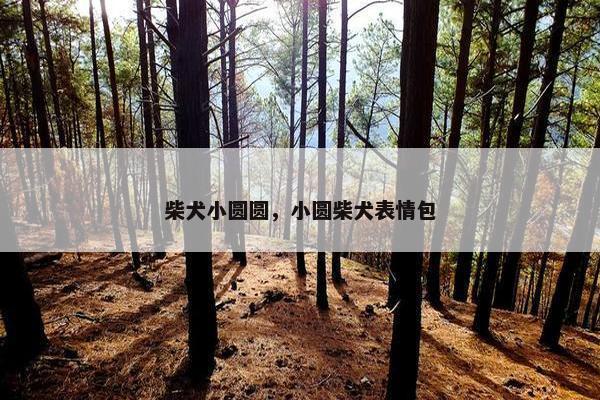 柴犬小圆圆，小圆柴犬表情包