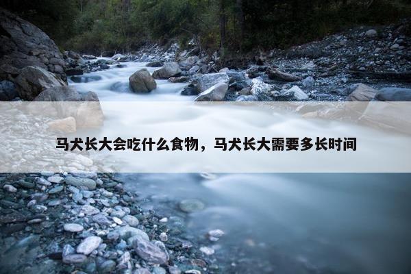 马犬长大会吃什么食物，马犬长大需要多长时间