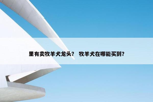 里有卖牧羊犬龙头？ 牧羊犬在哪能买到？