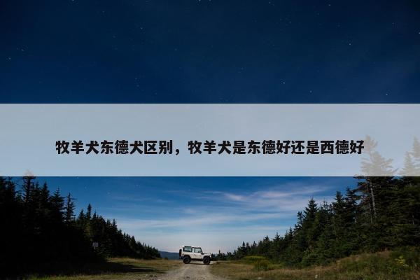 牧羊犬东德犬区别，牧羊犬是东德好还是西德好