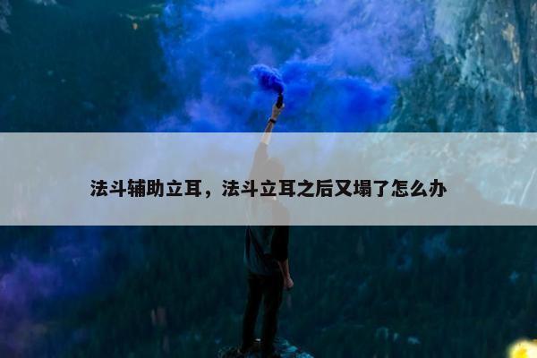 法斗辅助立耳,法斗立耳之后又塌了怎么办