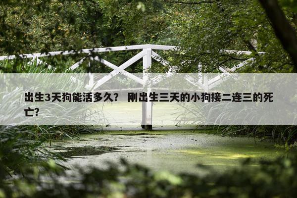 不吃