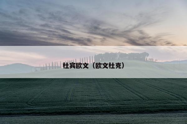 杜宾欧文(欧文杜克)