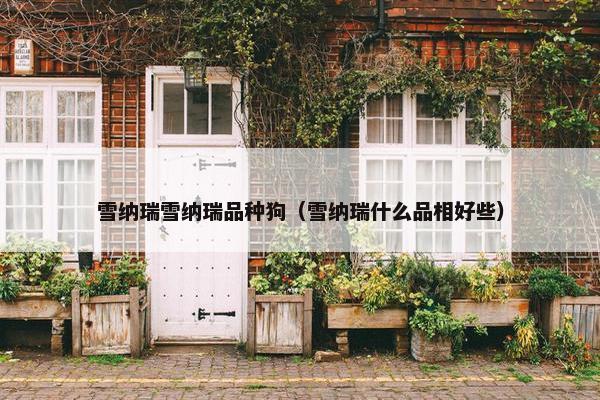 雪纳瑞雪纳瑞品种狗（雪纳瑞什么品相好些）