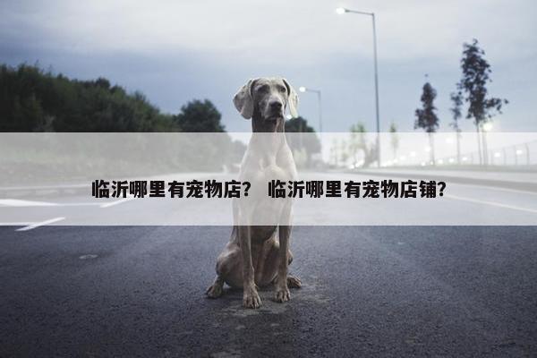 临沂哪里有宠物店？ 临沂哪里有宠物店铺？