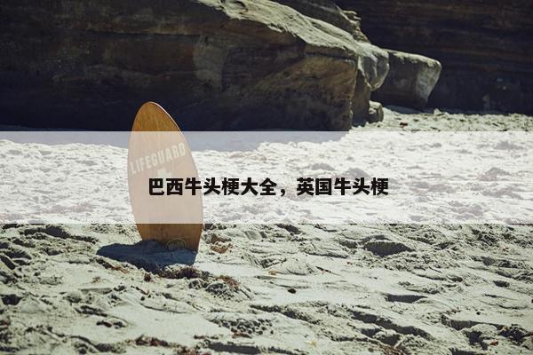 巴西牛头梗大全，英国牛头梗