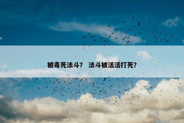 被毒死法斗？ 法斗被活活打死？