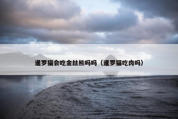 暹罗猫会吃金丝熊吗吗（暹罗猫吃肉吗）