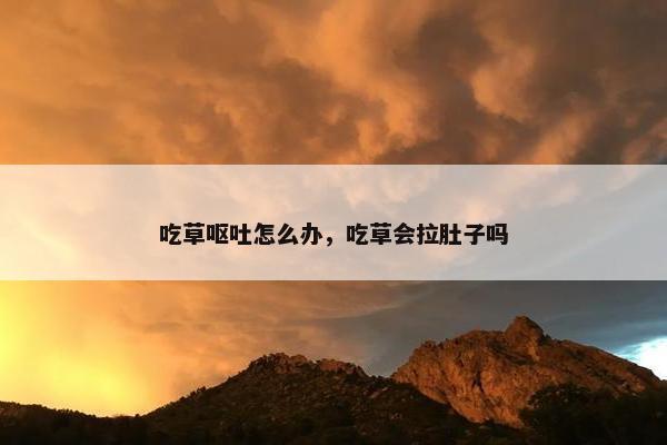 吃草呕吐怎么办，吃草会拉肚子吗