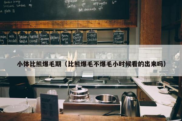 小体比熊爆毛期（比熊爆毛不爆毛小时候看的出来吗）