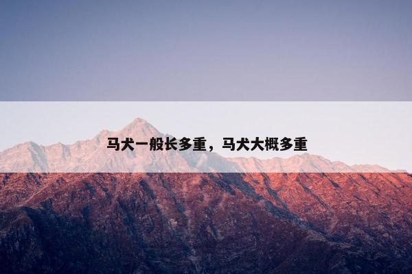 马犬一般长多重，马犬大概多重