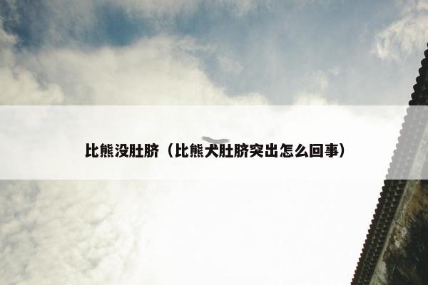 比熊没肚脐(比熊犬肚脐突出怎么回事)