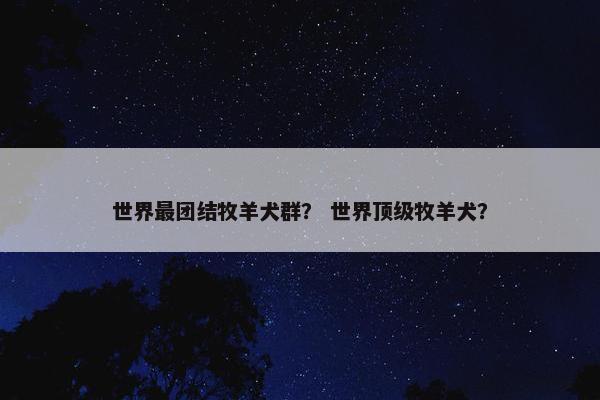 世界最团结牧羊犬群？ 世界顶级牧羊犬？