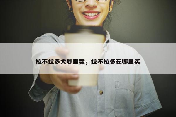拉不拉多犬哪里卖，拉不拉多在哪里买