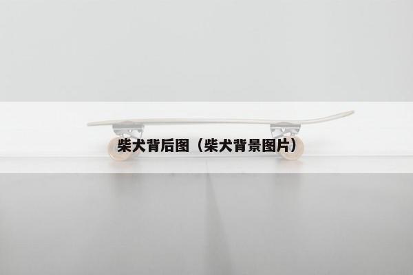 柴犬背后图（柴犬背景图片）
