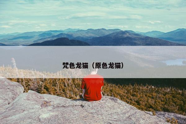 梵色龙猫（原色龙猫）