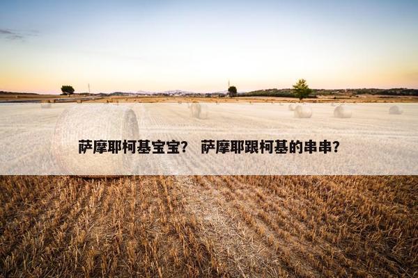 萨摩耶柯基宝宝？ 萨摩耶跟柯基的串串？