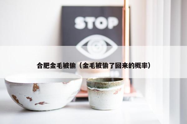 合肥金毛被偷（金毛被偷了回来的概率）