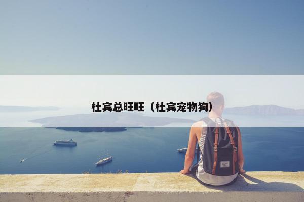 杜宾总旺旺（杜宾宠物狗）