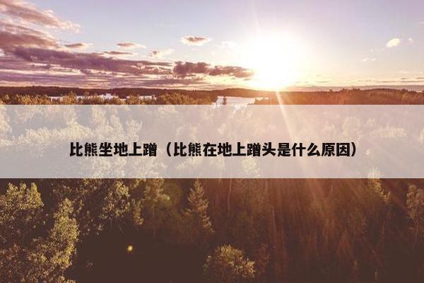 比熊坐地上蹭（比熊在地上蹭头是什么原因）