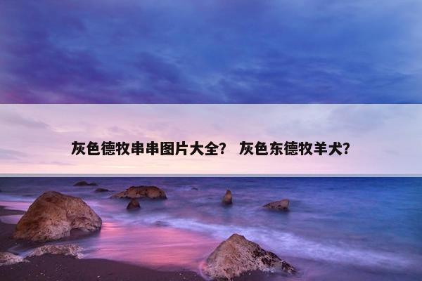 灰色德牧串串图片大全? 灰色东德牧羊犬?