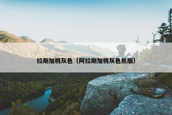 拉斯加桃灰色（阿拉斯加桃灰色熊版）