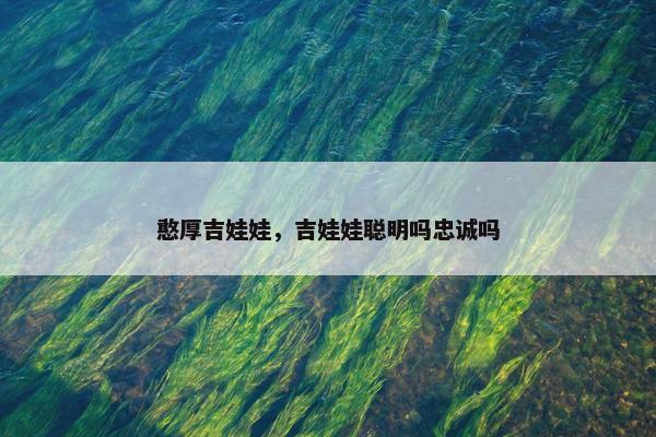 憨厚吉娃娃，吉娃娃聪明吗忠诚吗