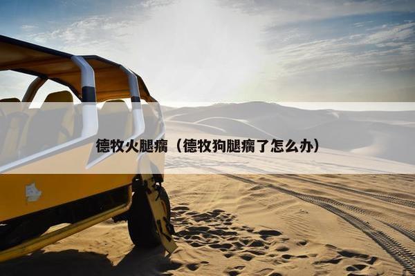 德牧火腿瘸(德牧狗腿瘸了怎么办)