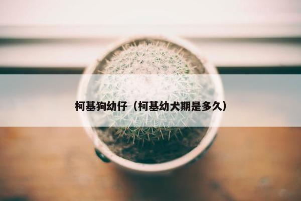 挑选