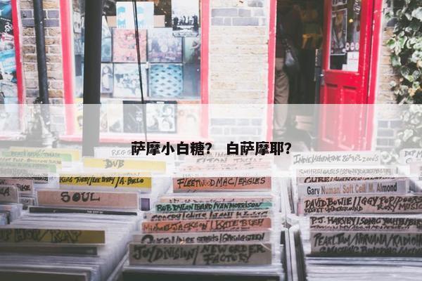 萨摩 第3页