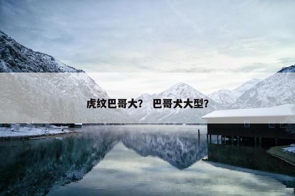 巴哥 第4页