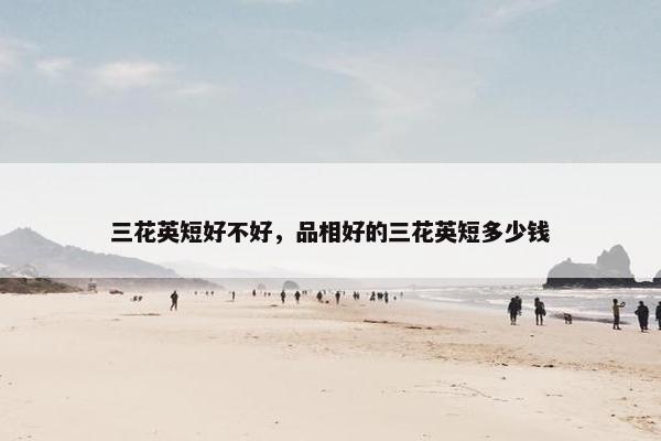 三花英短好不好，品相好的三花英短多少钱