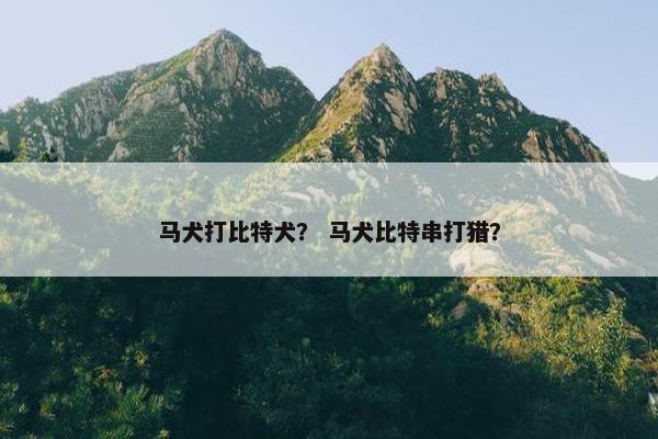马犬打比特犬? 马犬比特串打猎?