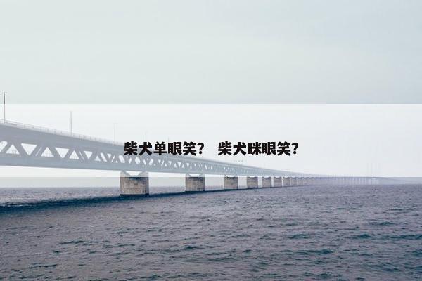 柴犬 第3页