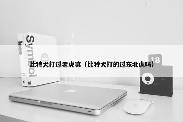 老虎