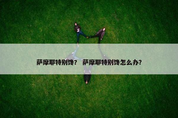 萨摩耶特别馋？ 萨摩耶特别馋怎么办？