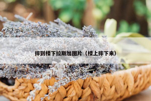 内布拉斯加